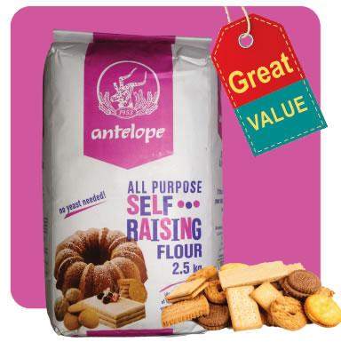 All-Purpose-Self Raising Flour post thumbnail