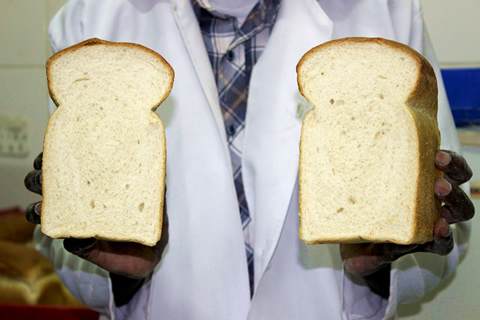 Alt Tag for feature icon