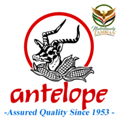 Antelope